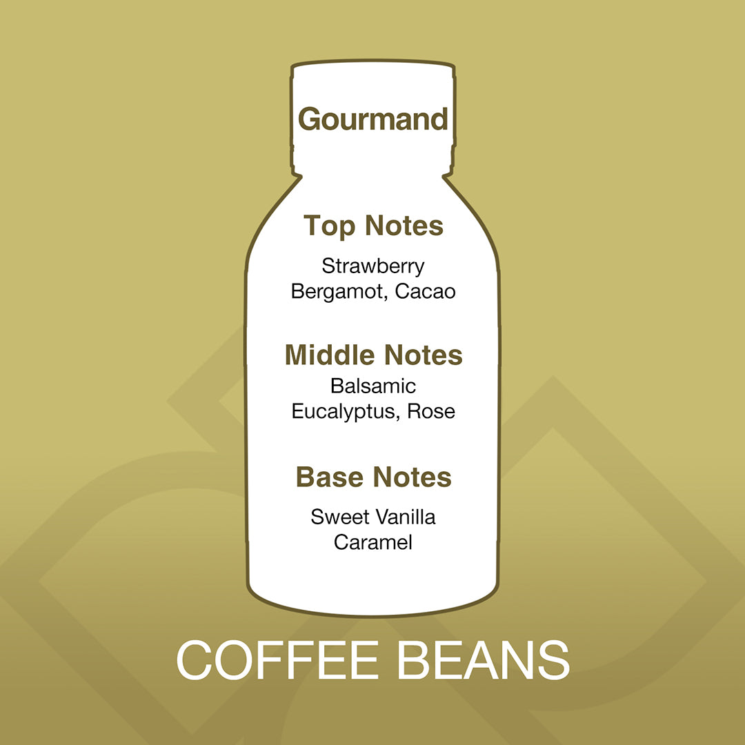 Diagram of a coffee bean with flavor notes on a gold background