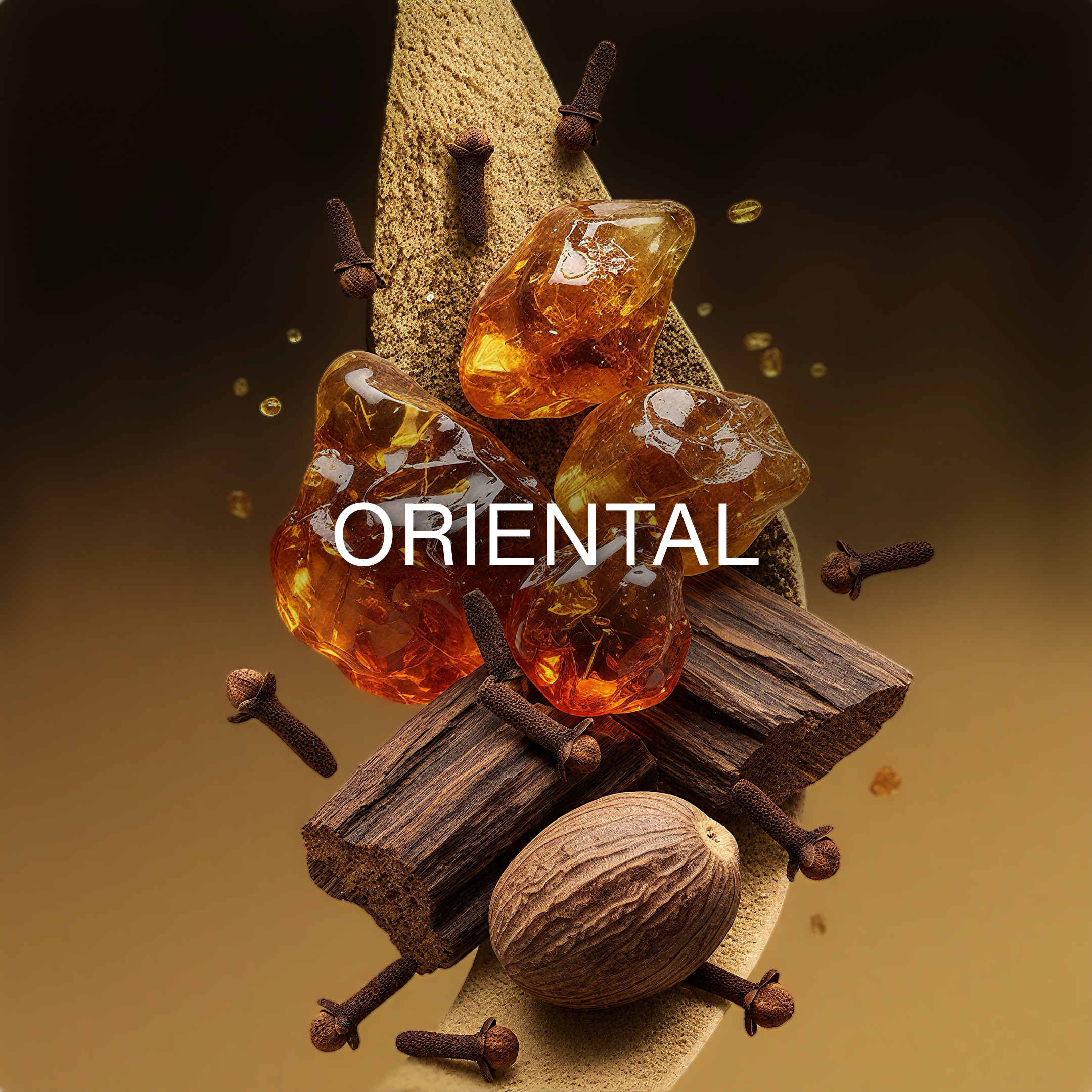Spices and amber stones with 'ORIENTAL' text on a brown background